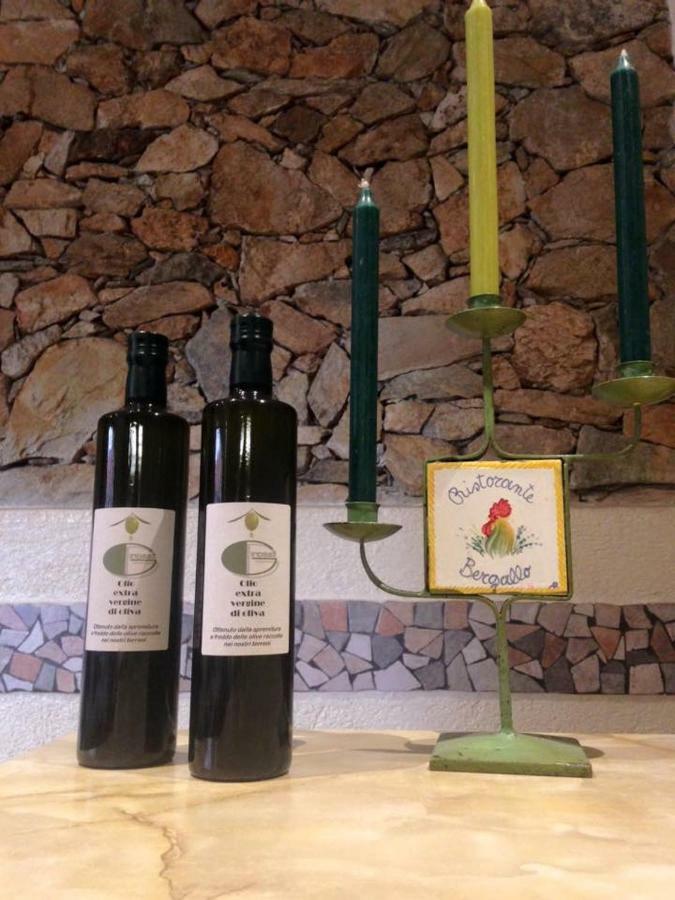 Albergo Ristorante Bergallo Tovo San Giacomo ภายนอก รูปภาพ